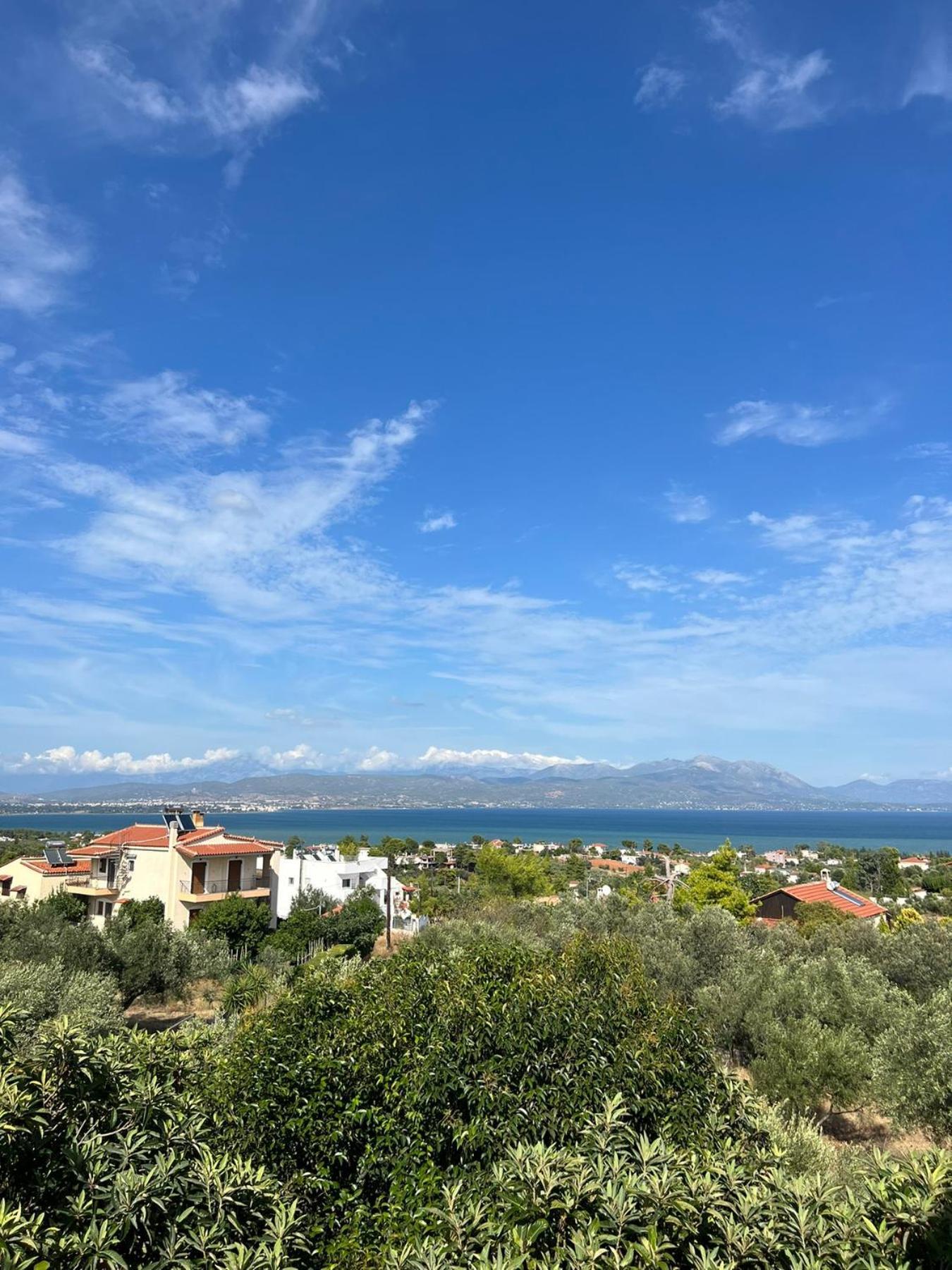 Xenia'S Seaview House Villa Paralia Avlidhos Bagian luar foto