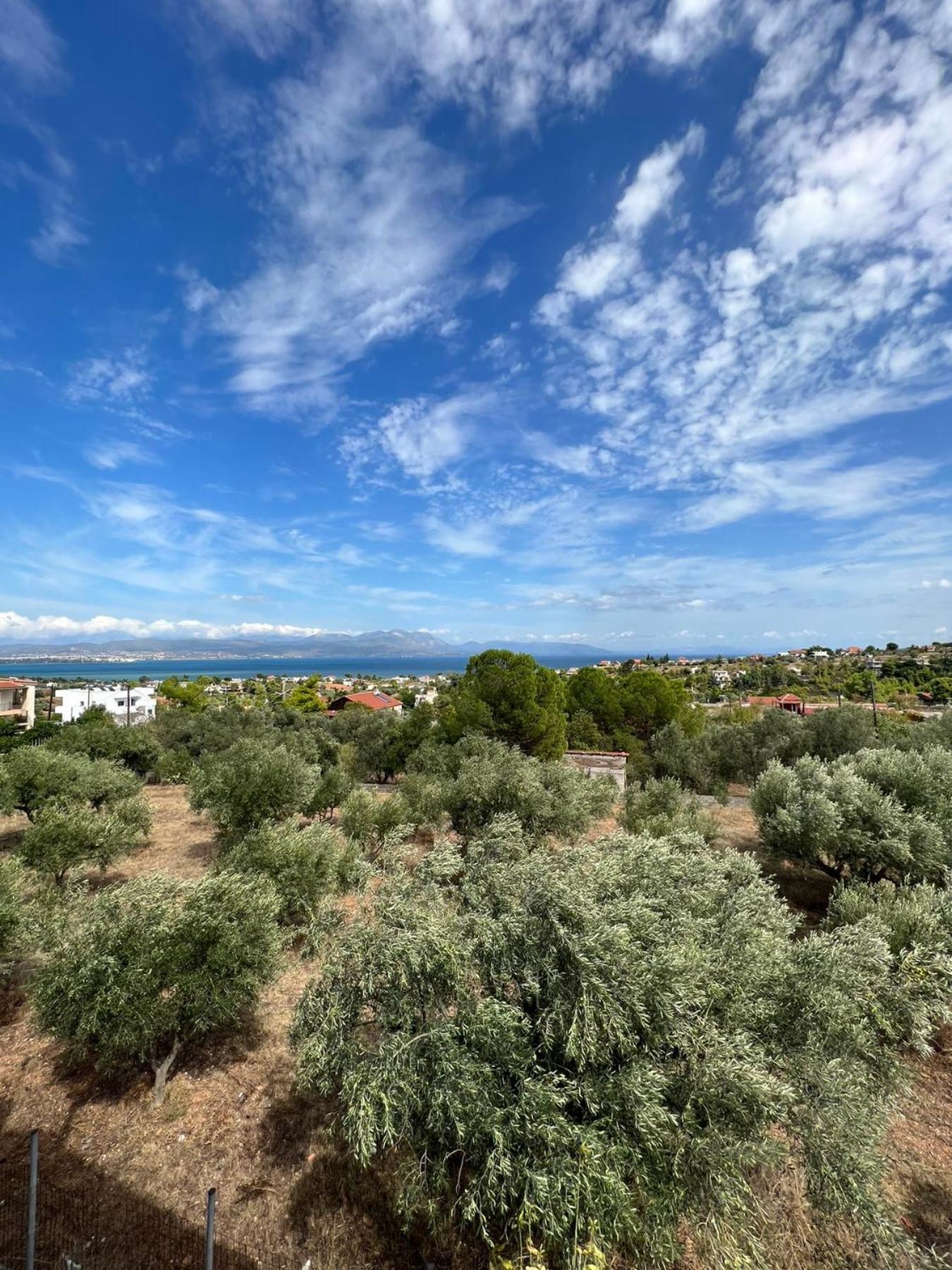 Xenia'S Seaview House Villa Paralia Avlidhos Bagian luar foto